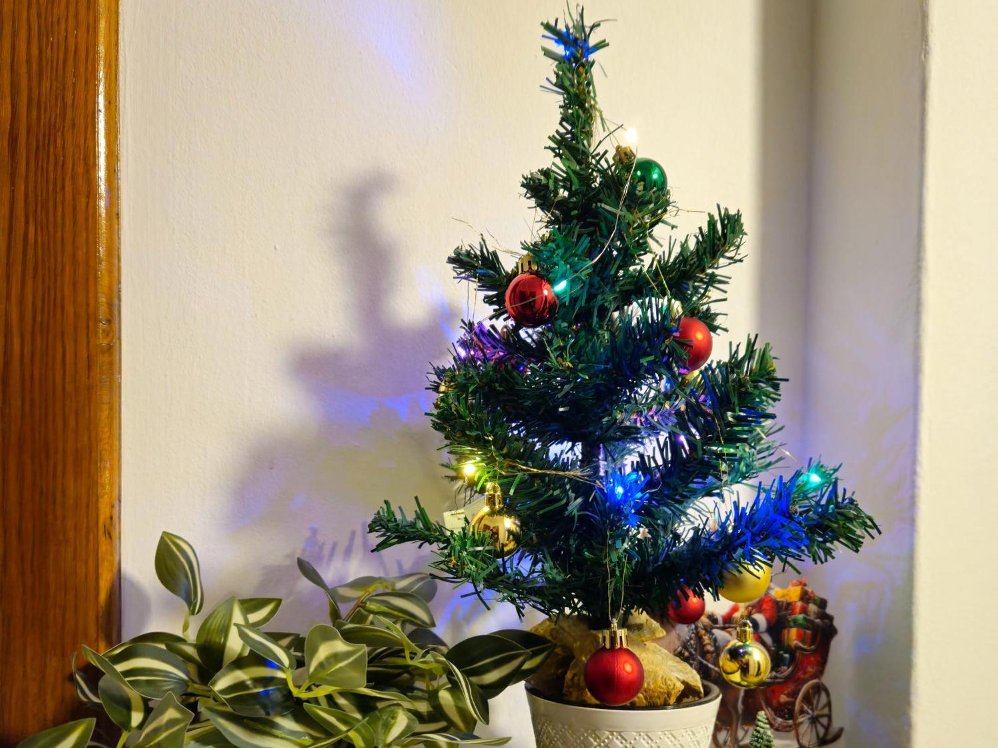 Apartment Zarnesti City Centre Vmp Free Parking 외부 사진