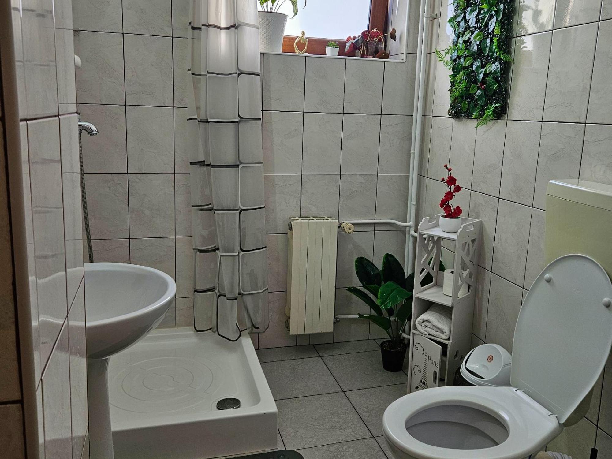 Apartment Zarnesti City Centre Vmp Free Parking 외부 사진